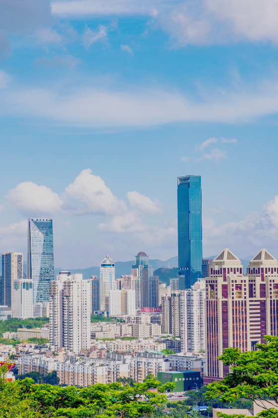 Real Estate Ventures